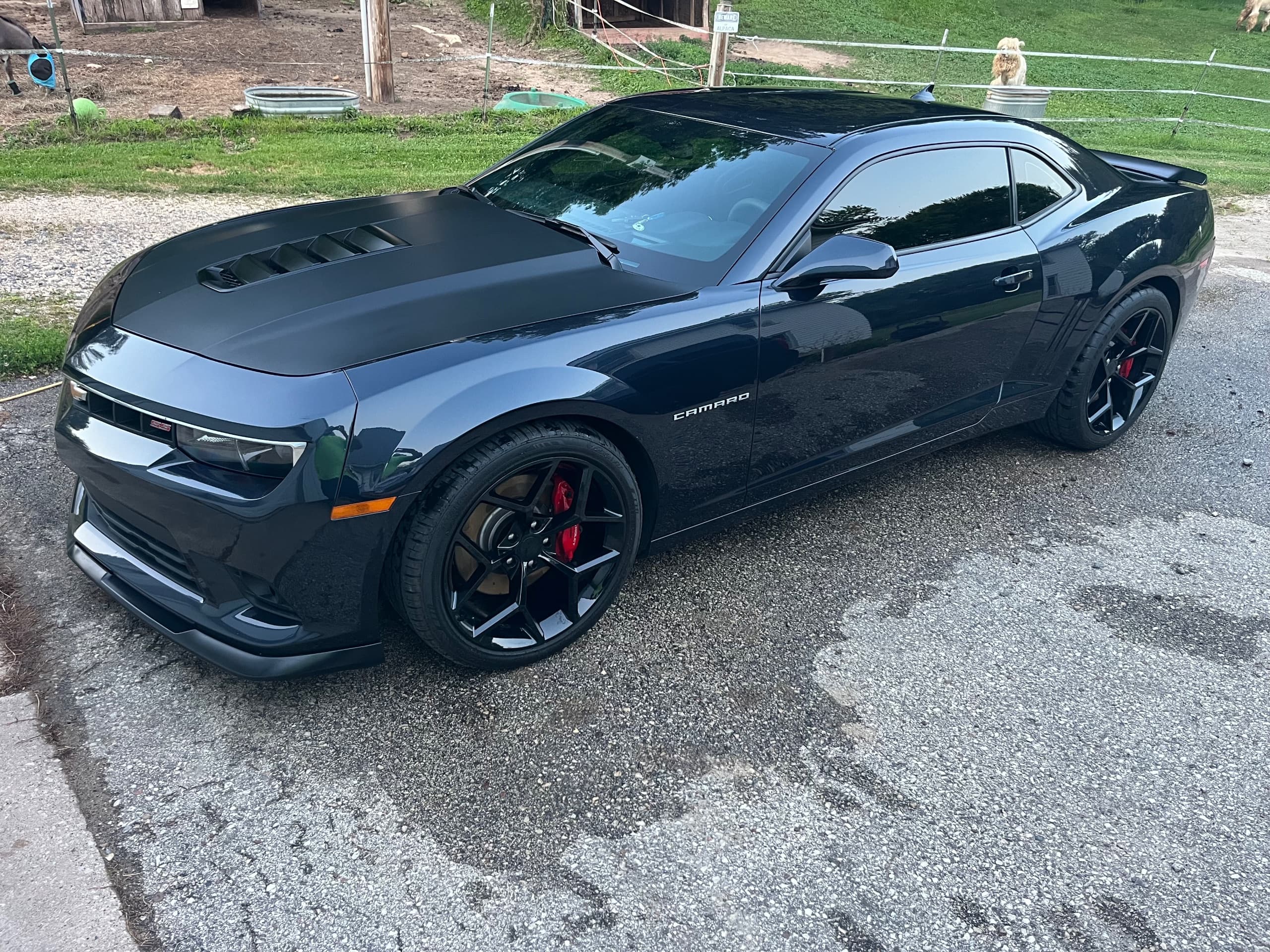 2014 Chevrolet Procharged camaro SS 1LE — photo 1