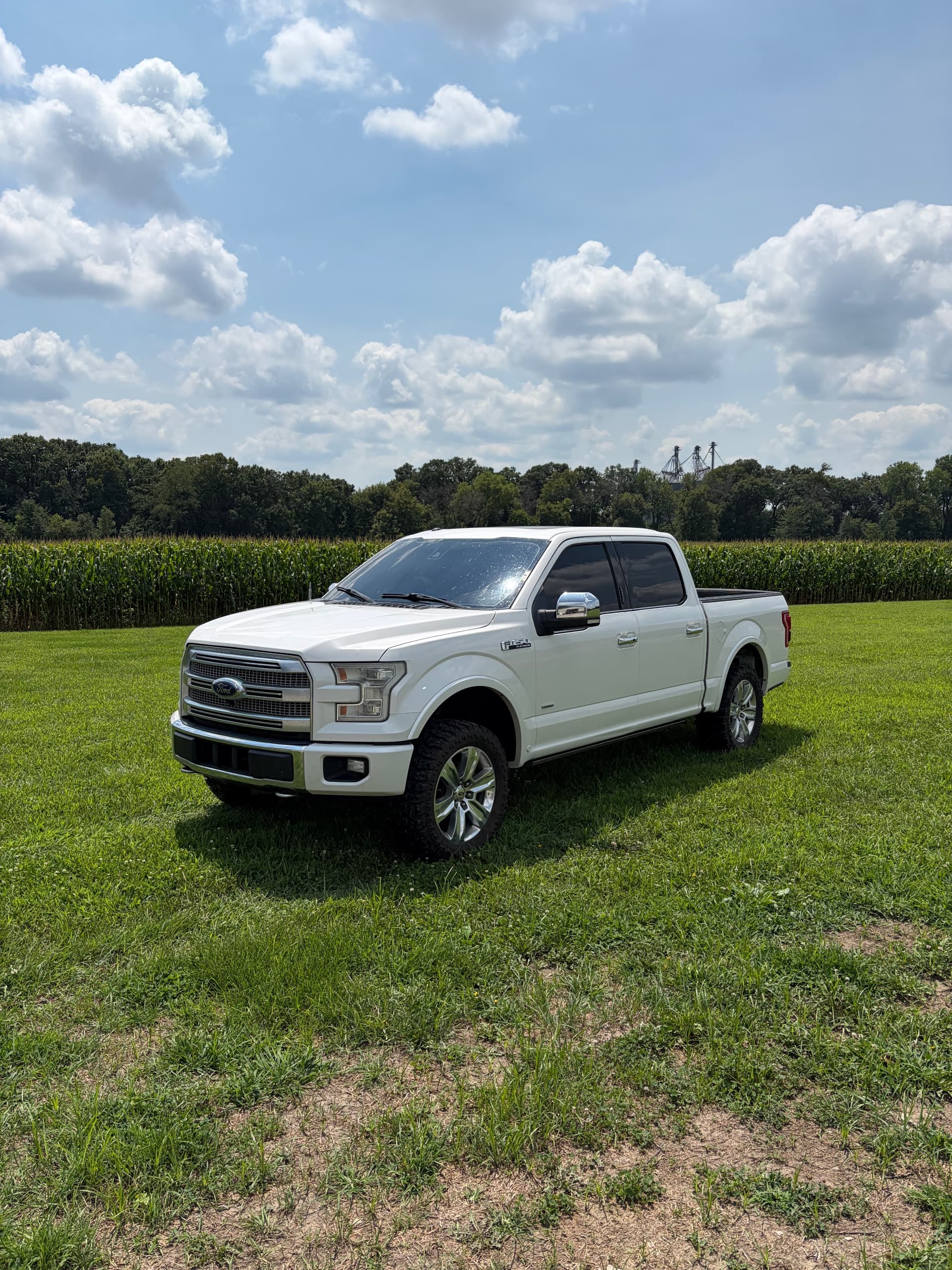 2015 Ford F150 Platinum — photo 1