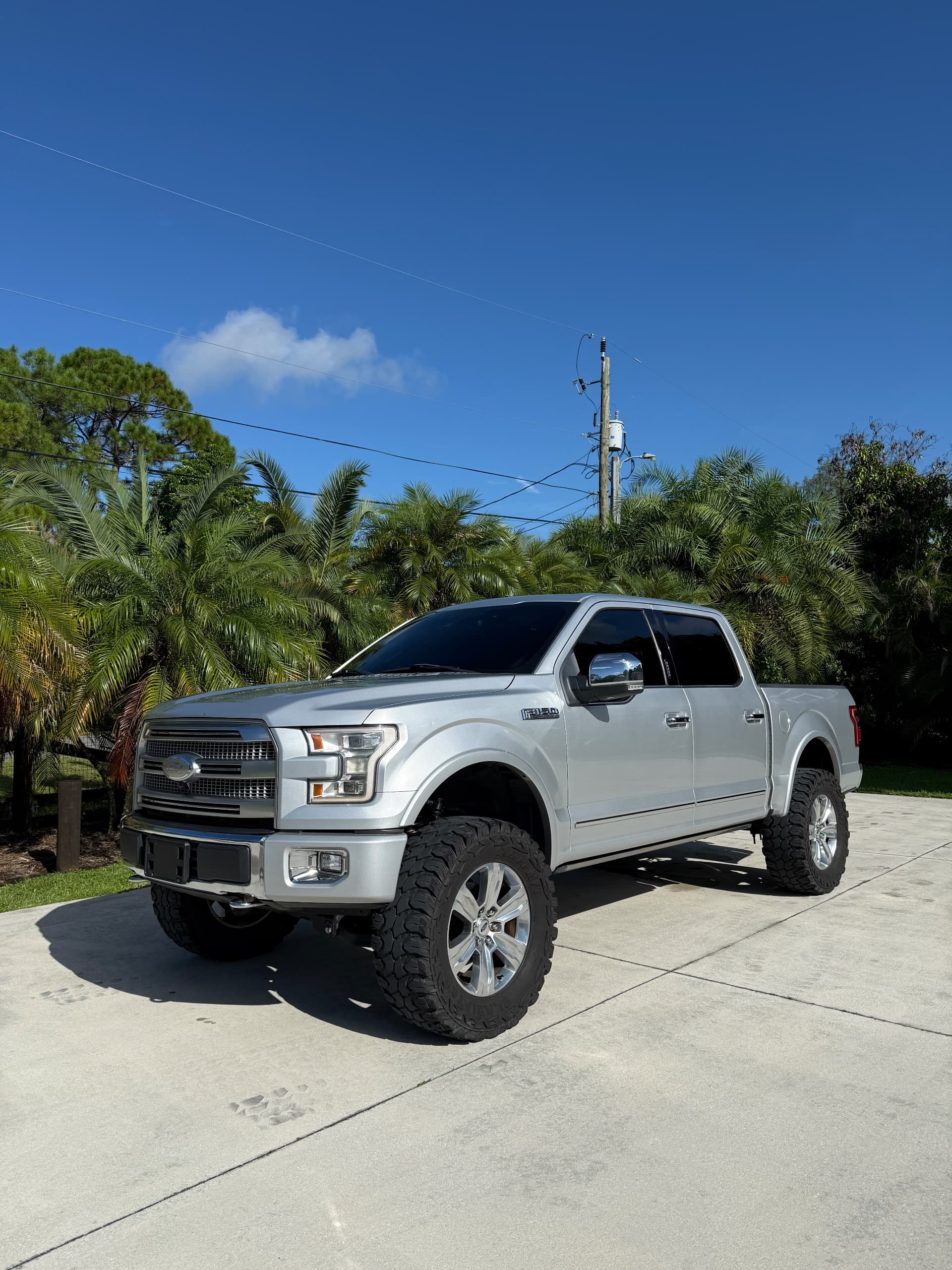 2017 Ford F150 Platinum FX4 — photo 1