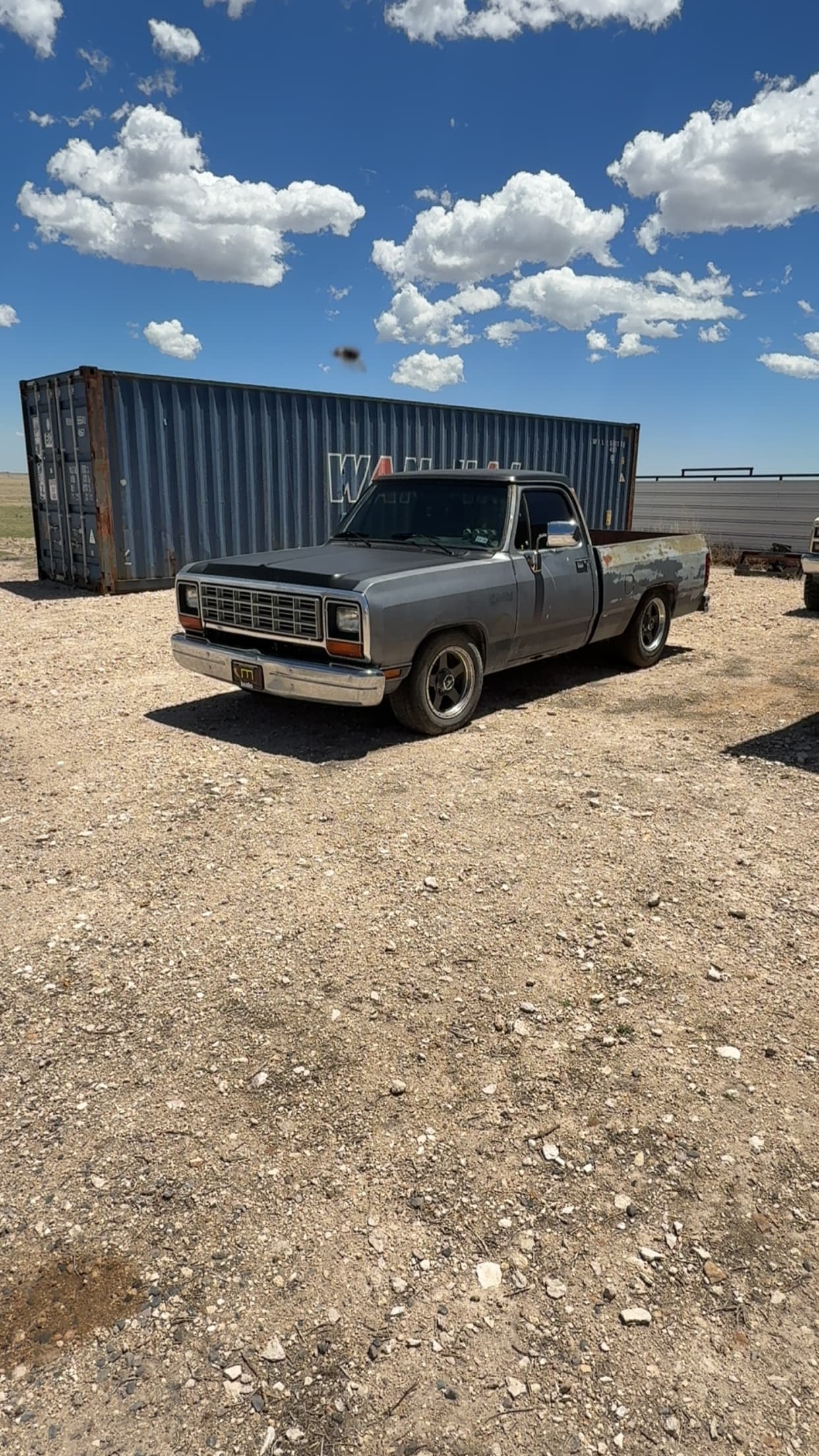 1989 Dodge D150 — photo 1